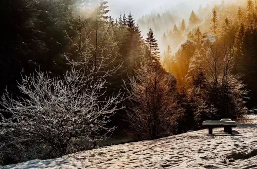 Unleashing the Adventure: Ski Resorts That Bring the Party from Freestyle Competitions to Mardi Gras Events