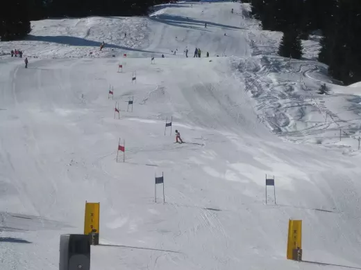The X Games Effect: How the Competition Has Inspired Innovation in Freestyle Skiing and Snowboarding