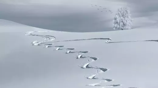 Pushing the Limits: Thrilling Adventures in Big Mountain Skiing